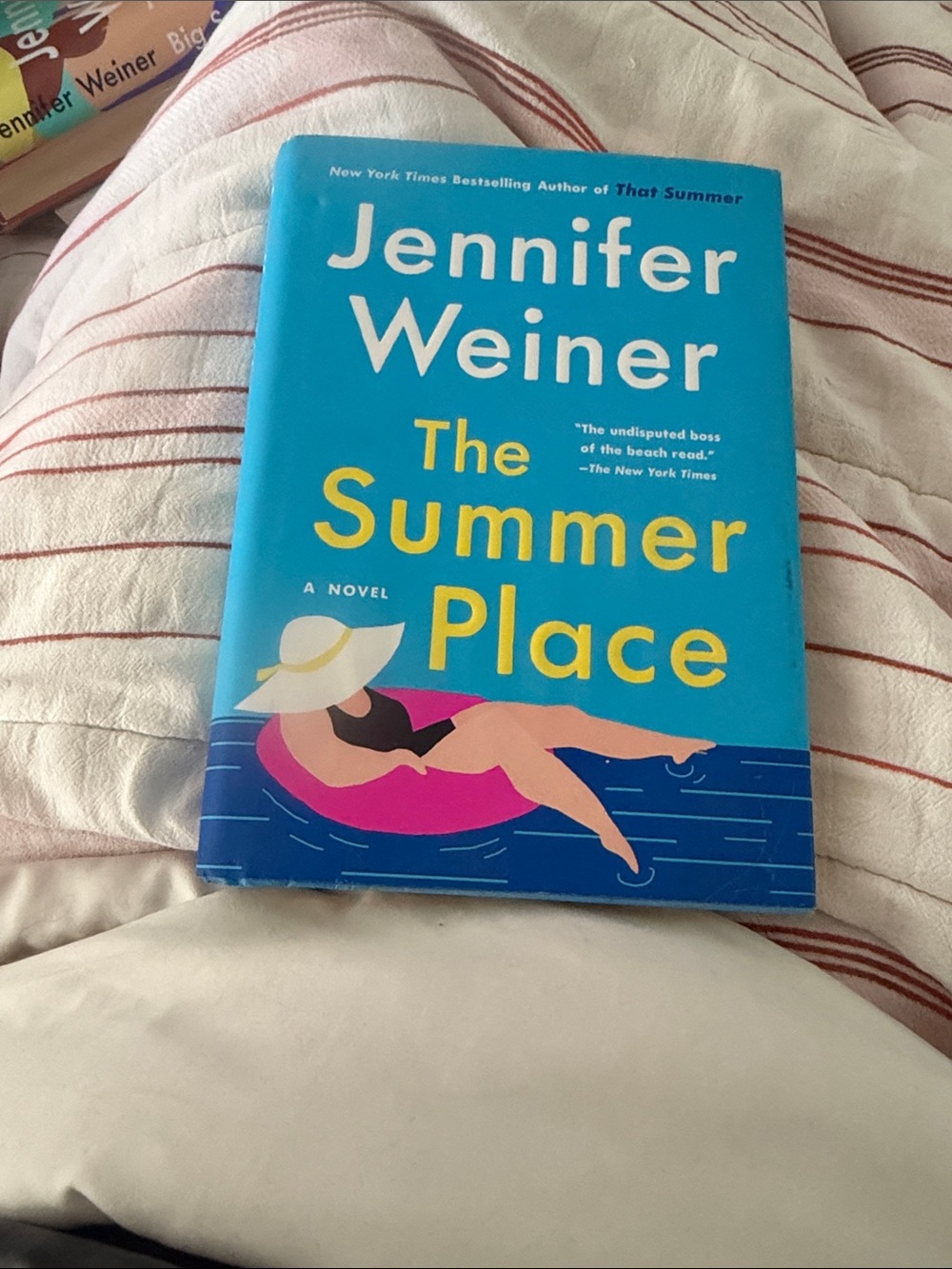 Jennifer Weiner Black One-Piece Swimwear Inspired Cover Illustration - Black